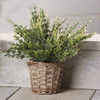 Gift Craft Artificial Grass in Willow Basket, Set of 2