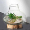 Gift Craft Earth Artisan Wood & Glass Vase, Pine Stump Base Gift Craft Earth Artisan Wood & Glass Vase, Pine Stump Base