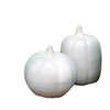 Rowe Pottery Glazed Pumpkins, Set of 2, Drift White