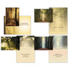 Shared Blessings 12 Boxed Birthday Cards, Rays of Light