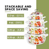 STP Vegetable Garden Belly Deep Stock Pot with Decorated Lid in 4 Sizes