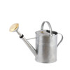 Plint Watering Can, 9 Liter Zinc