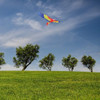 Premier Kites 7-Foot Parrot Kite