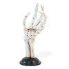 Boston International 8" Tall Skeleton Hand Halloween Taper Candle Holders, Set of 2