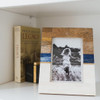 Matr Boomie Kaveri Striped 5x7 Picture Frame - Carved Bone & Wood