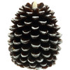 Pavilion 5" Brown Pine Cone Realistic Flame Led Flameless Candle