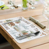 CounterArt Reversible Plastic Placemats, Rustic Lake, Set of 4