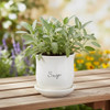 Tag Sage Planter with Saucer