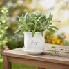 Tag Sage Planter with Saucer