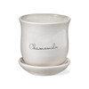 Tag Chamomile Planter with Saucer
