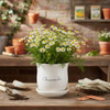 Tag Chamomile Planter with Saucer