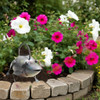 D-Art Collection Iron Frog Watering Can