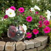 D-Art Collection Iron Ladybug Watering Can