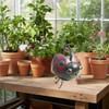 D-Art Collection Iron Ladybug Watering Can