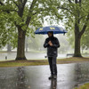 Golden Retriever Collapsible Auto-Open Umbrella, Navy