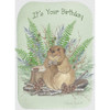 Shared Blessings Childrens Birthday Cards, Woodland Critters