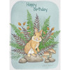 Shared Blessings Childrens Birthday Cards, Woodland Critters