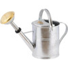 Plint Watering Can, 5 Liter Zinc