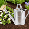 Plint Watering Can, 5 Liter Zinc