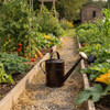 Plint Watering Can, 5 Liter Black