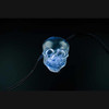 Boston Warehouse Allure LED Skull String Lights, 30 Lights