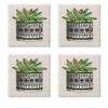 Tumbled Tile Stone Coasters, Potted Succulent