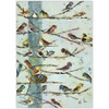 Crown Point Graphics Community Birds - Boxed Note Cards, Box of 15