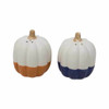 Boston Warehouse Pumpkin Salt and Pepper Shakers Boston Warehouse Pumpkin Salt and Pepper Shakers
