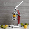 Verve Culture Mexican Citrus Juicer, Red Small