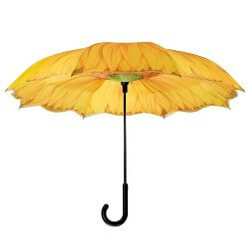 Stick Umbrella