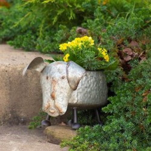 Pots & Planters