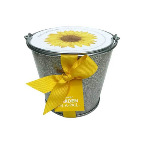 Potting Shed Creations Garden in a Pail, Sunflower