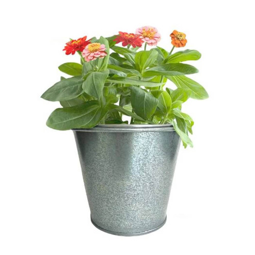 Potting Shed Creations Kids Garden in a Pail, Butterfly