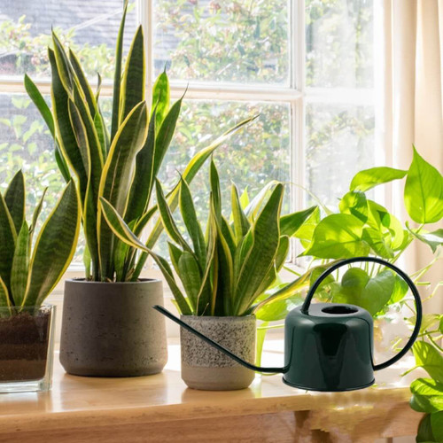 Plint Watering Can, 0.9-Liter Dark Green