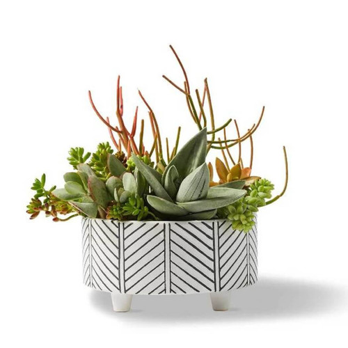 Magenta Geometric Planter Cloud Extra Large