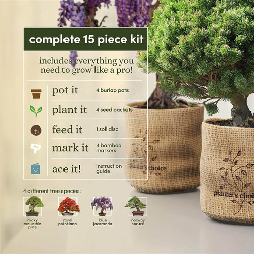 Planter's Choice Bonsai Starter Kit