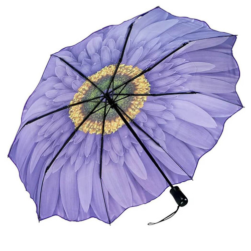 Galleria Women's Folding Umbrella - Auto Open/Close - Wisteria Daisy