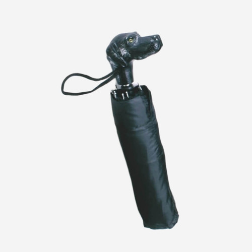 Harvy Canes Folding Umbrella, Scott