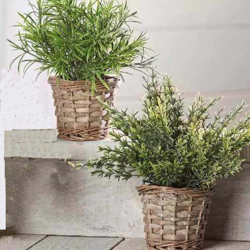 Artificial Grass in Willow Baskets