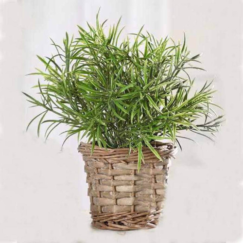 Gift Craft Artificial Grass in Willow Basket, Set of 2