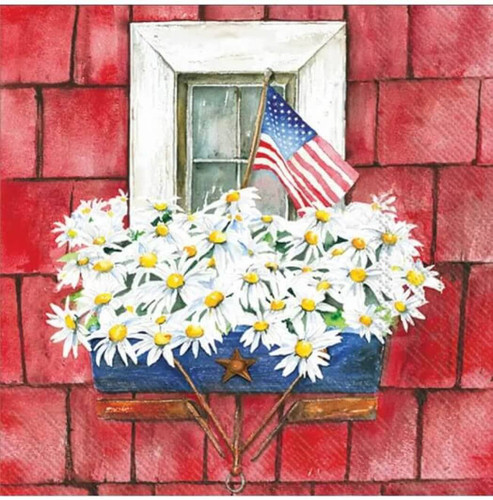 Boston International IHR Cocktail Napkins, Patriotic Planter- 20 Count