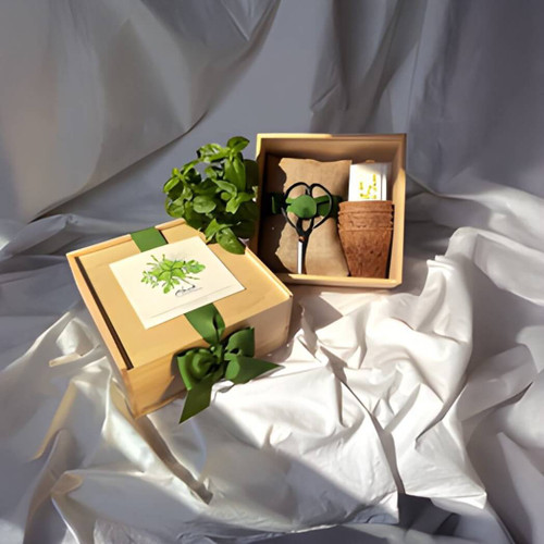 Potting Shed Creations Culinary Herb Garden Box