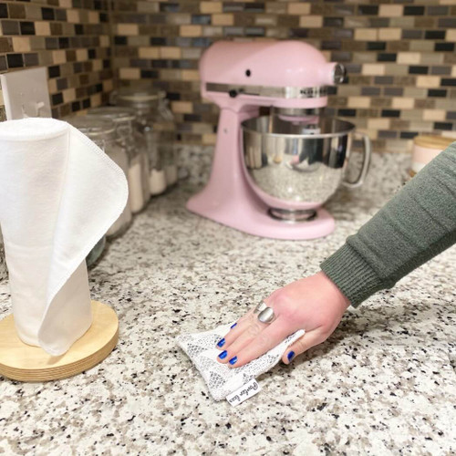 Porter Lee's Reusable Sponge