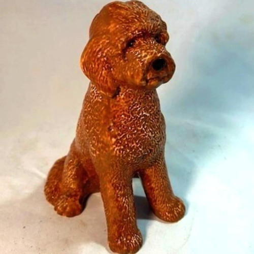 Sea Island Imports Bank, Goldendoodle