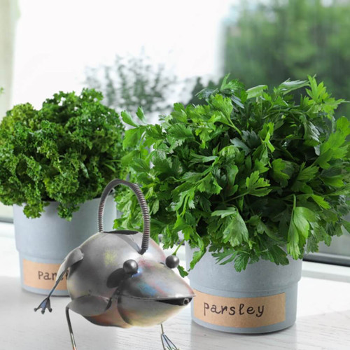 D-Art Collection Iron Frog Watering Can