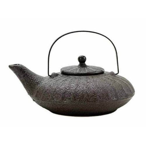 Boston Warehouse Stoneware Ribbed Oblong Teapot with Cast Iron Look