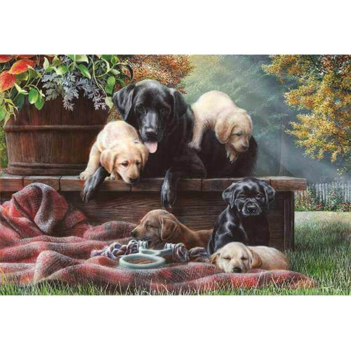 Crown Point Graphics 1000 Piece Jigsaw Puzzle, Cozy Moment