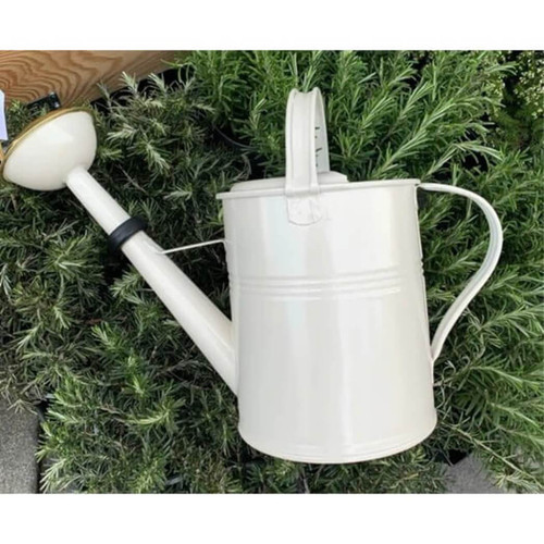 Plint Watering Can, 5 Liter Winter White