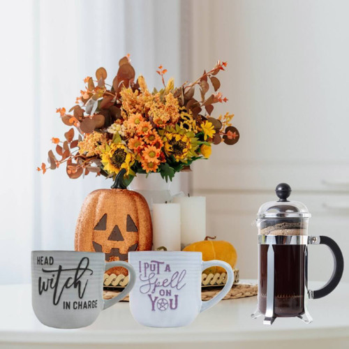 Boston Warehouse 18-Oz Mug Witch In Charge, Set of 2 