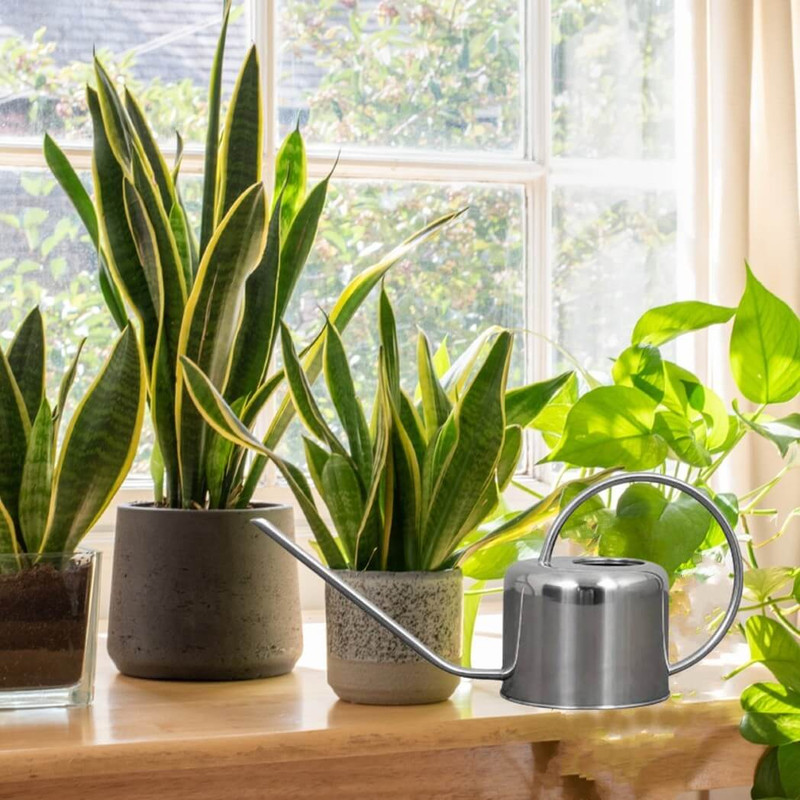 Plint Watering Can, 0.9-Liter Stainless Steel Plint Watering Can, 0.9-Liter Stainless Steel